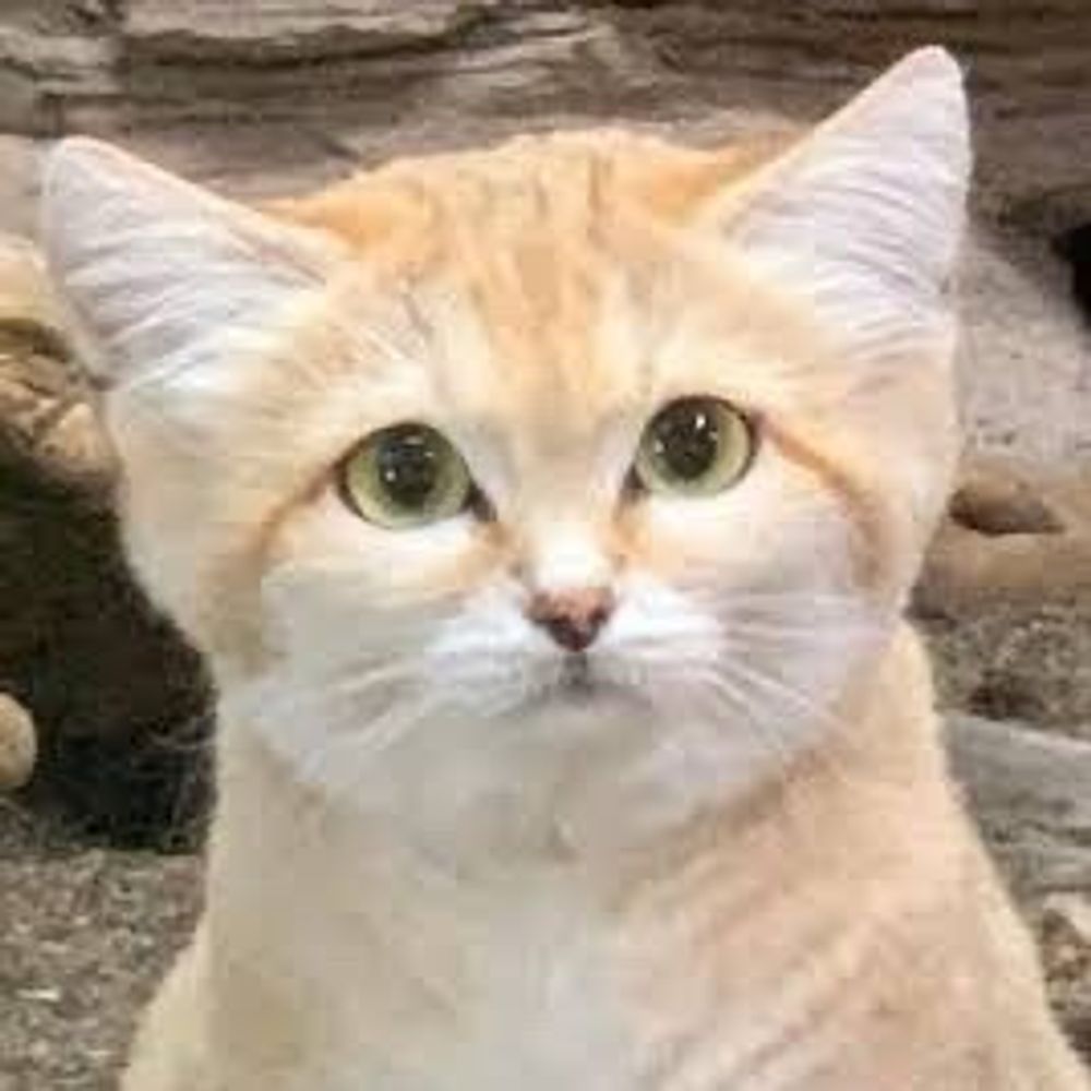 ニッチ