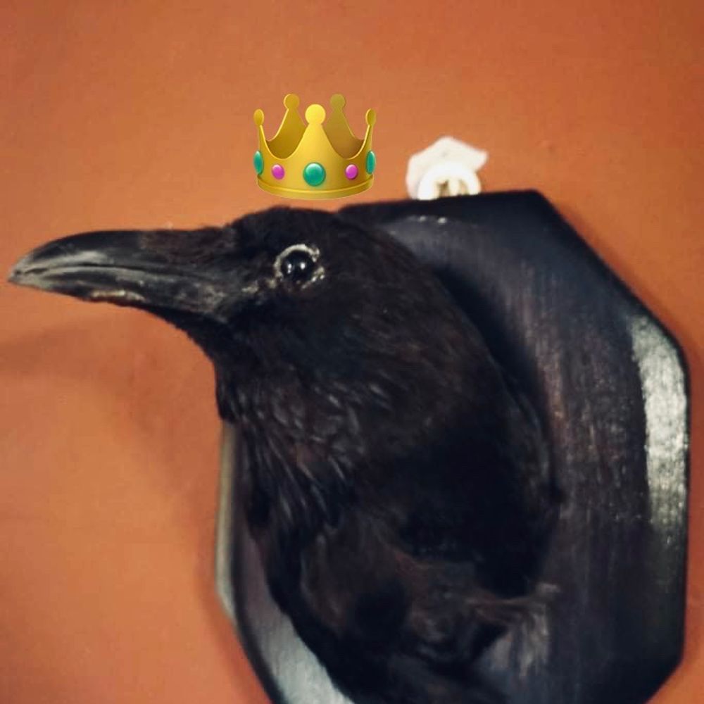crow