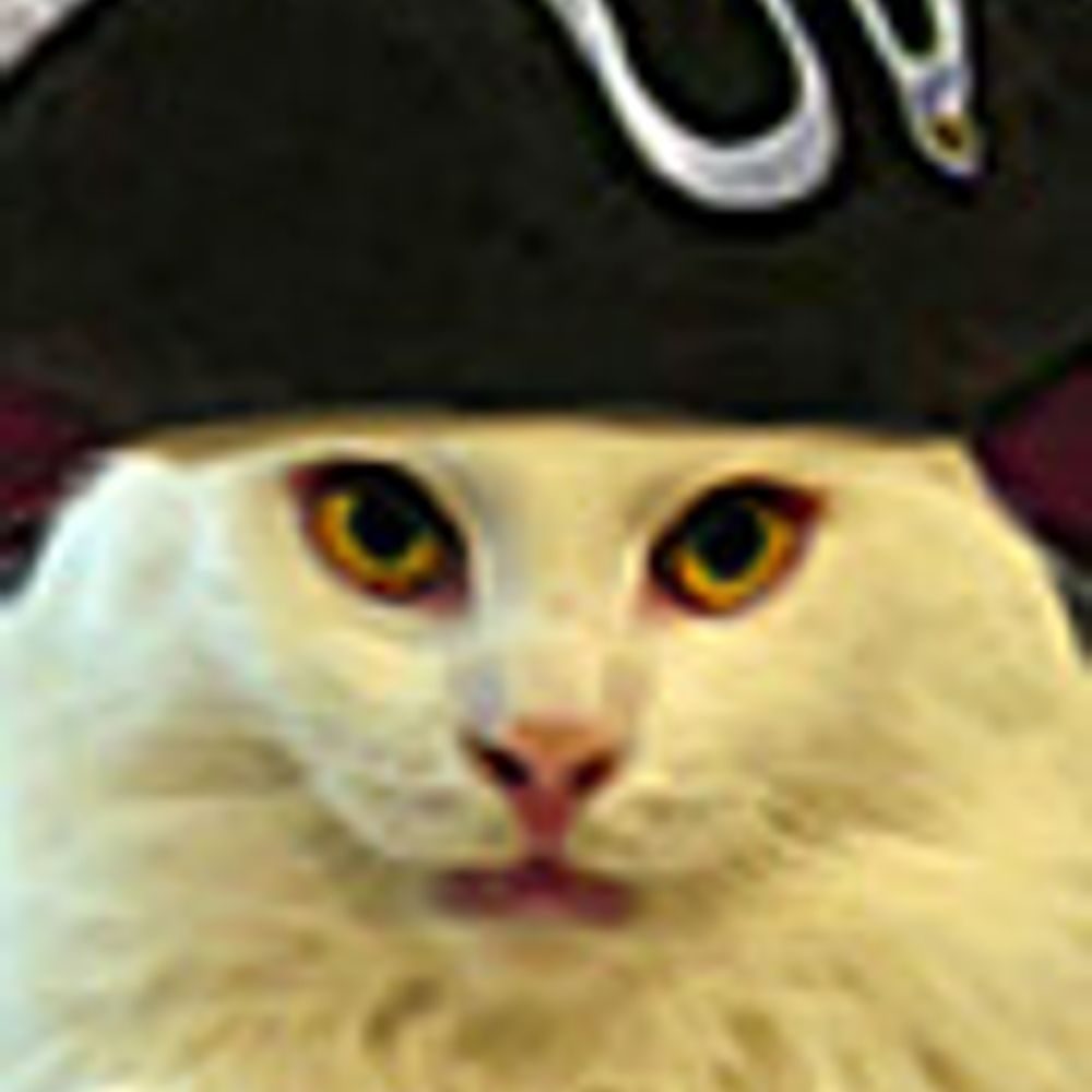 Snowcat