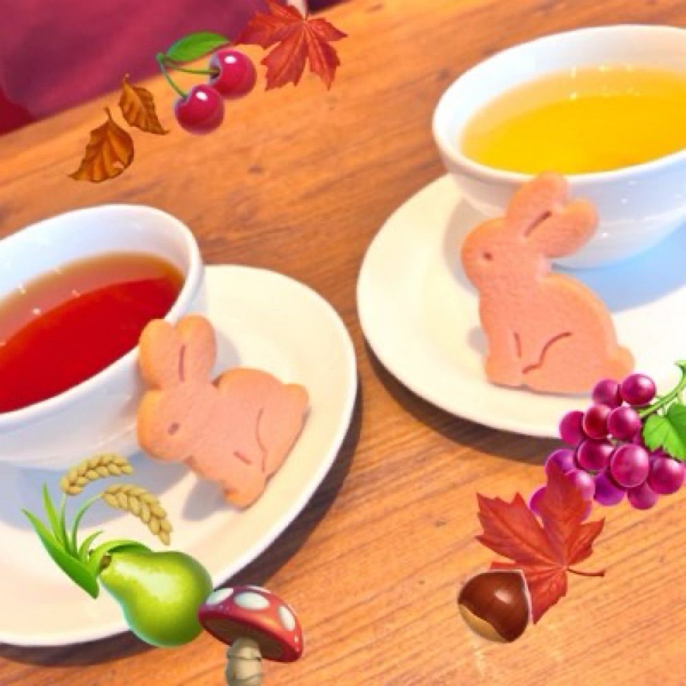 こっちぇ
