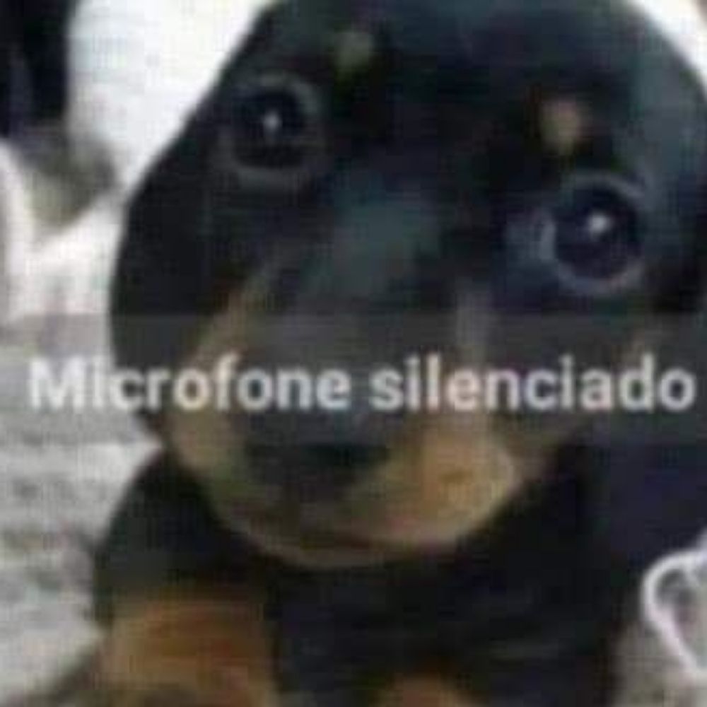 Microfone silenciado