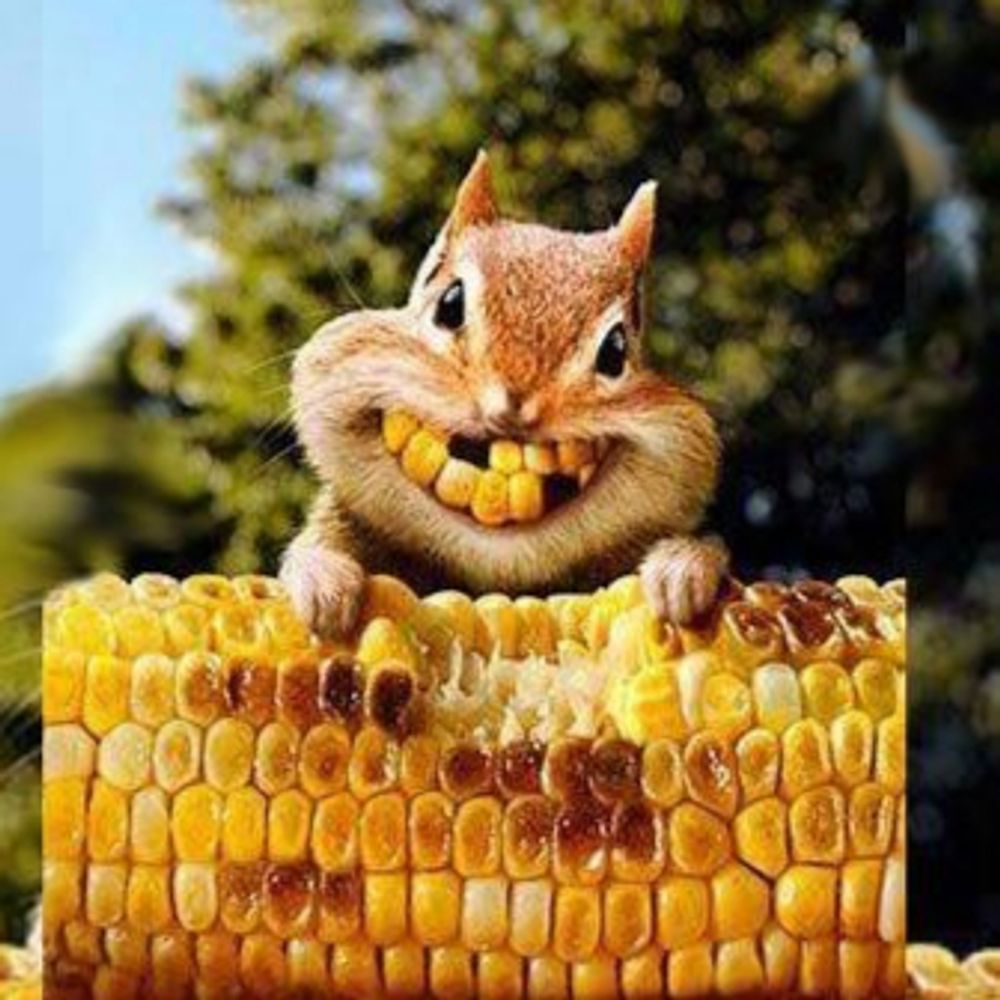 imagardener.bsky.social