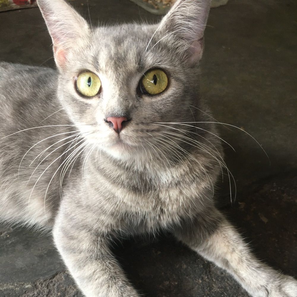 Langitbiru&pelangi