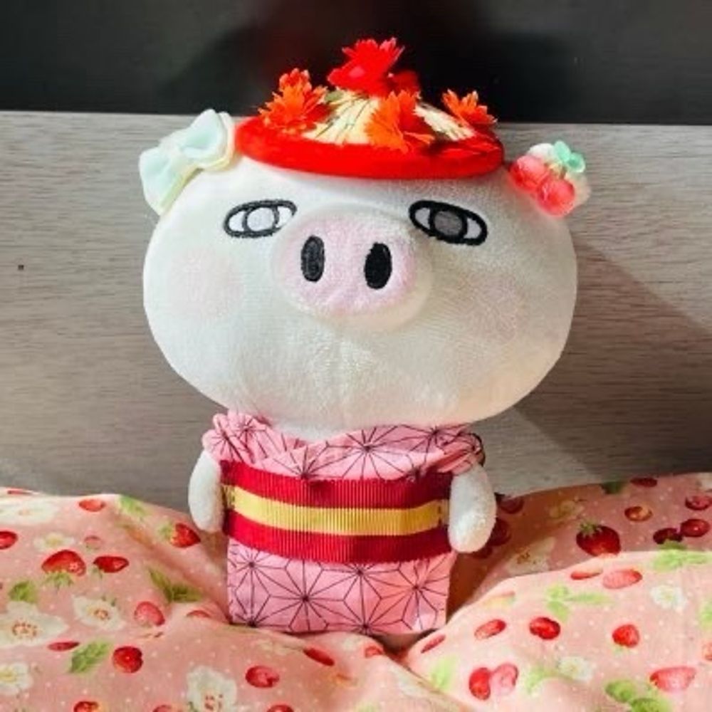 ぶーちゃんず(裏垢)