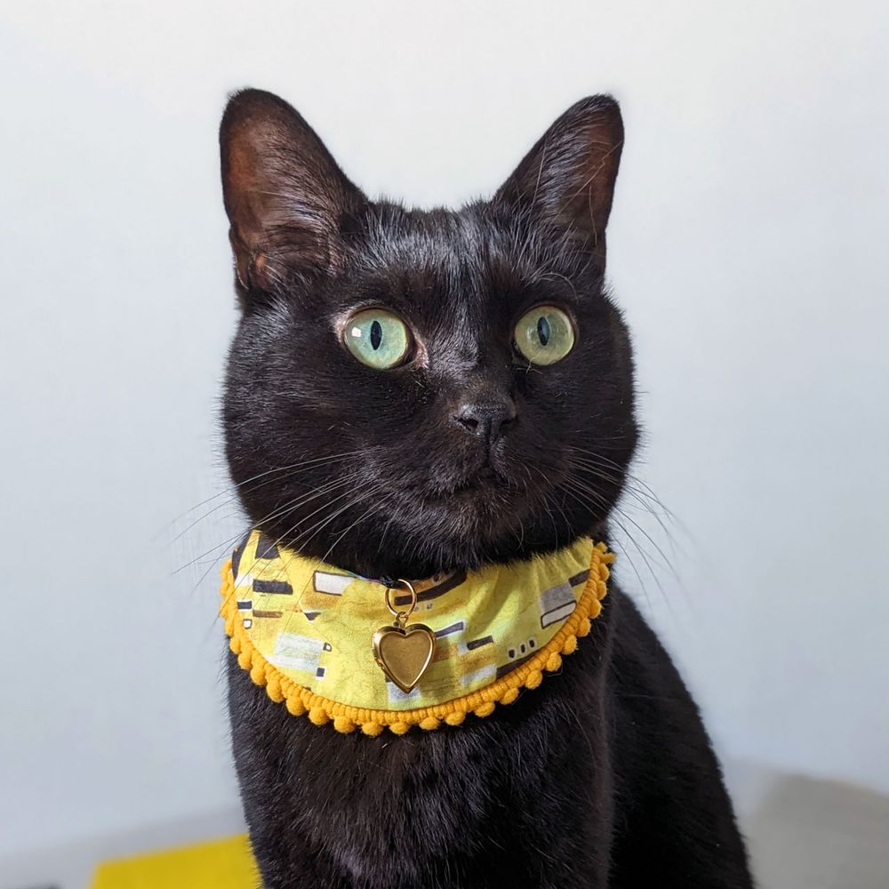 Cats and dogs Accessory - NEKONOTE Handmade shop