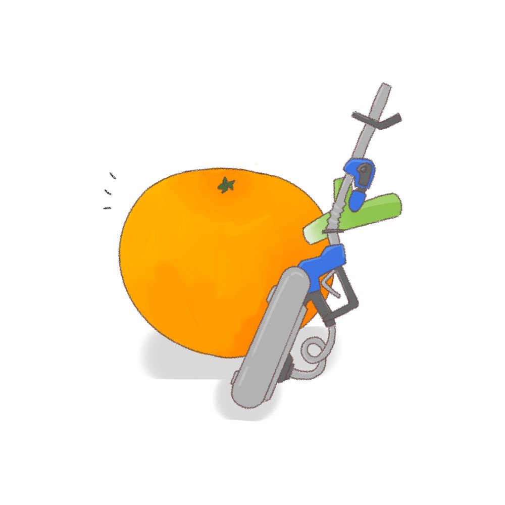 mikan