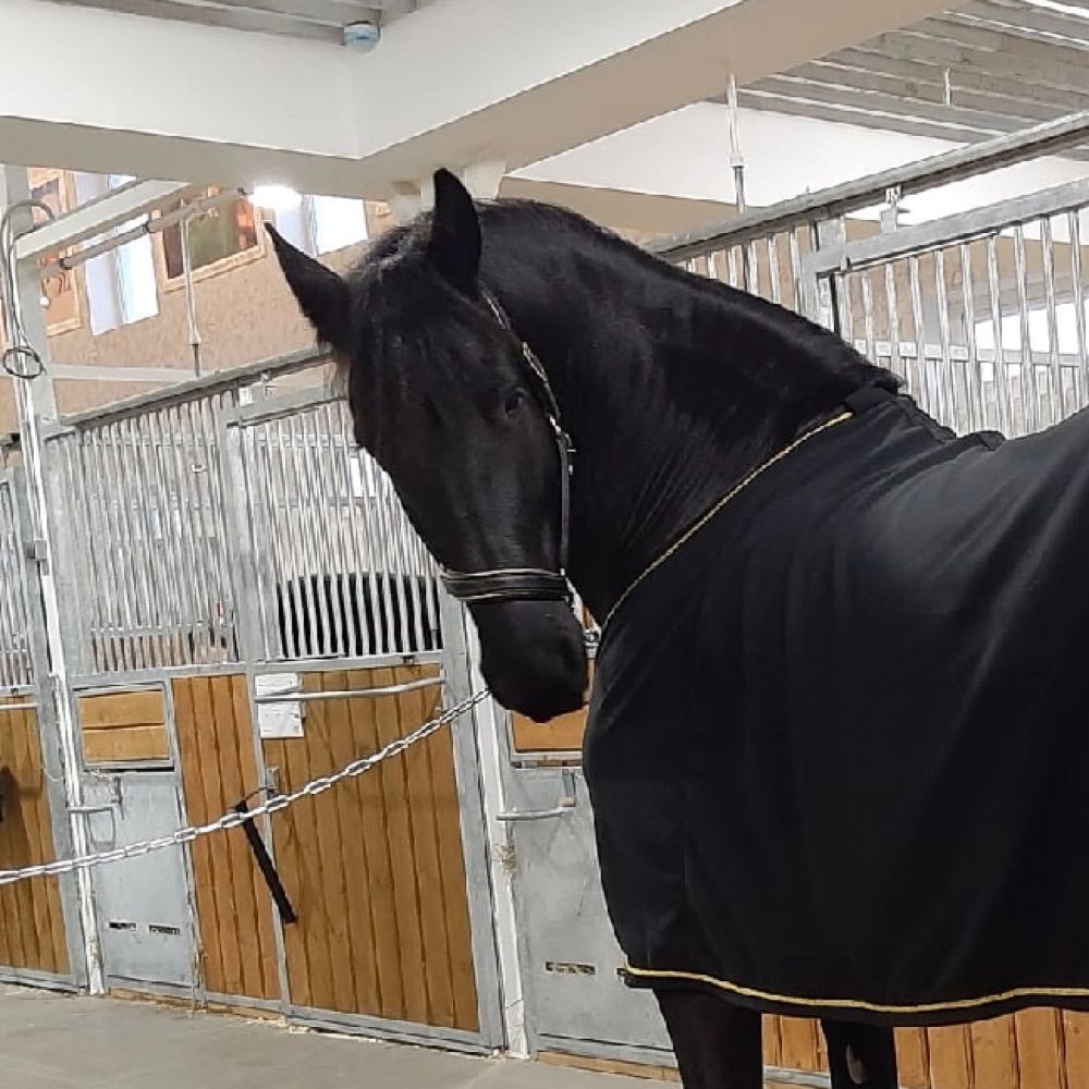 rwbyshine.bsky.social