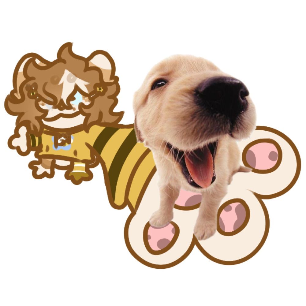 Bagel