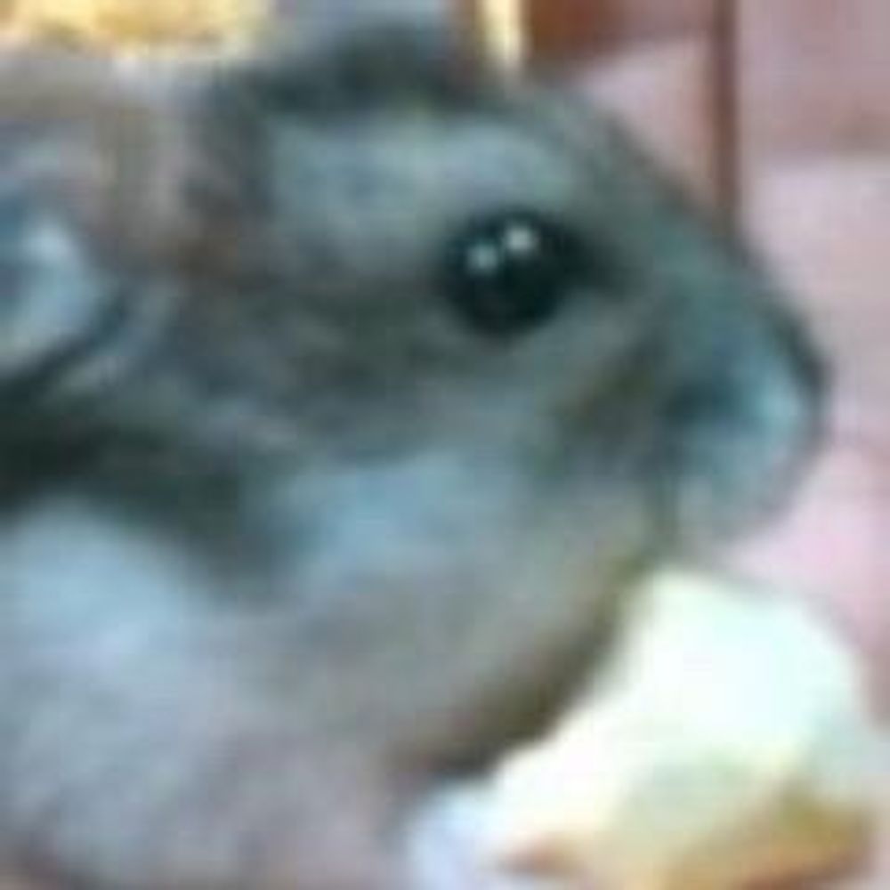 ぼたもち