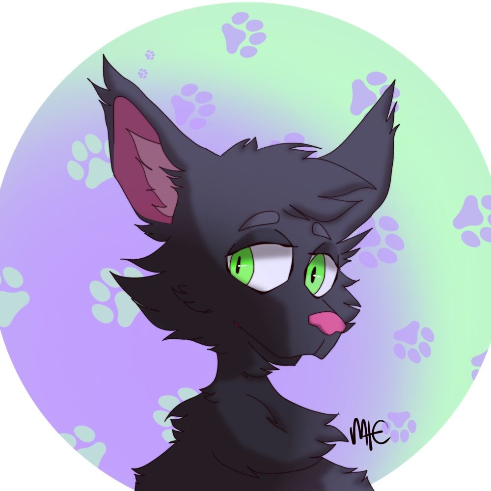 StonerCat he/they/him