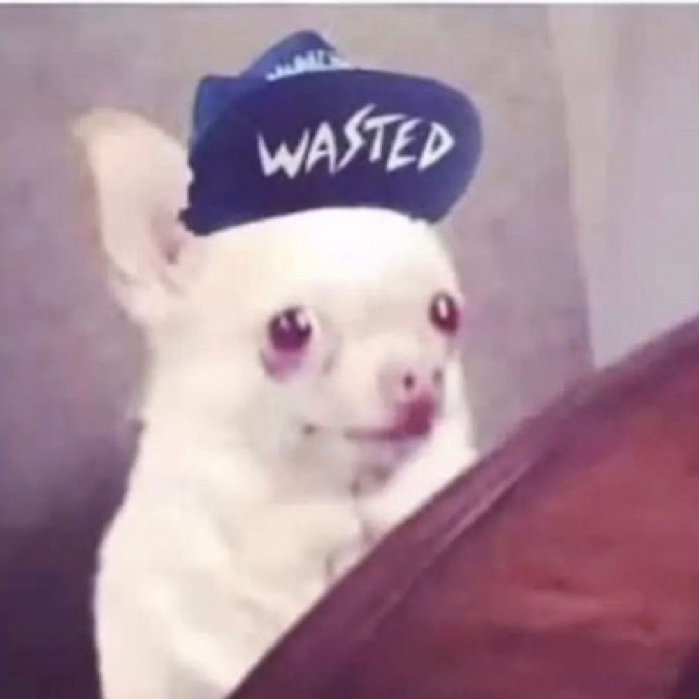 Braindrillpapi