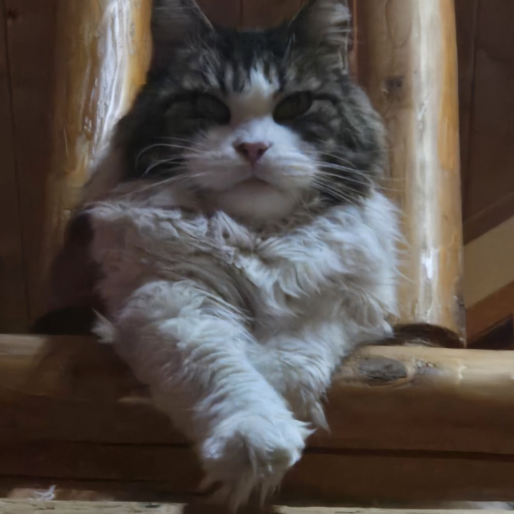 LocumLady