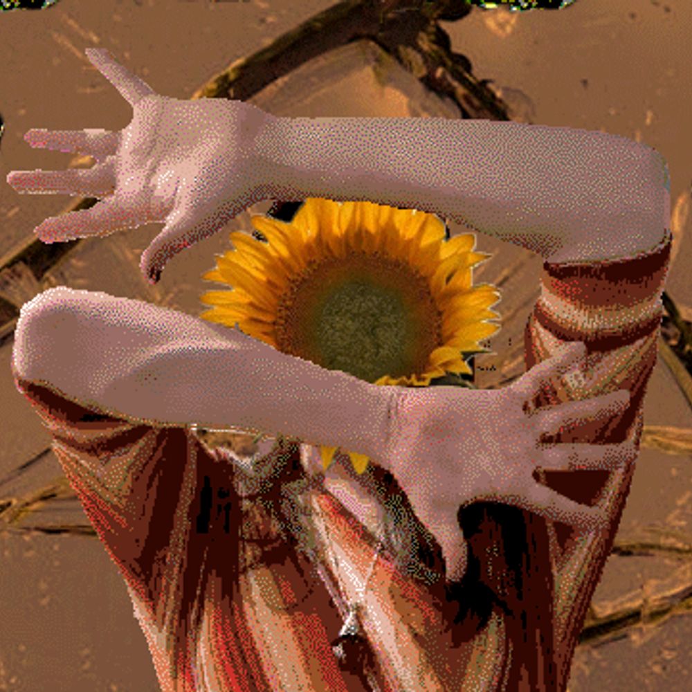 sunny