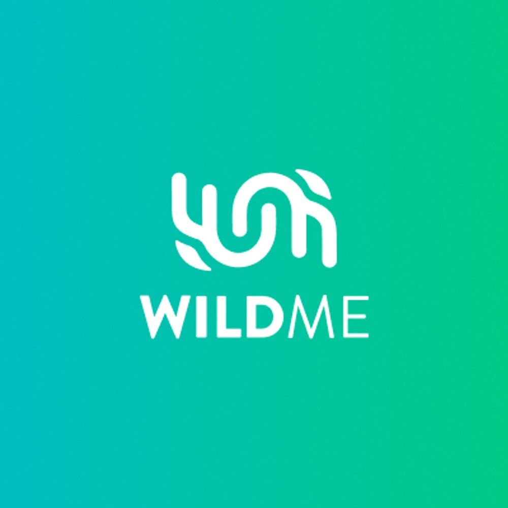 Wild Me (CXL)