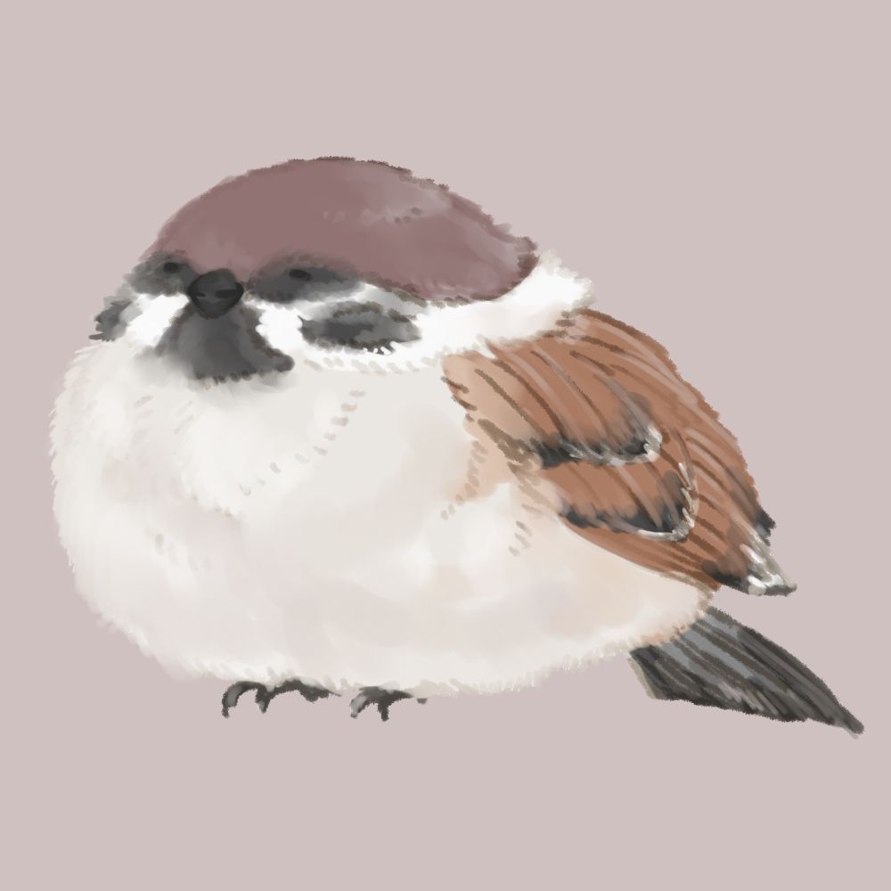 めり