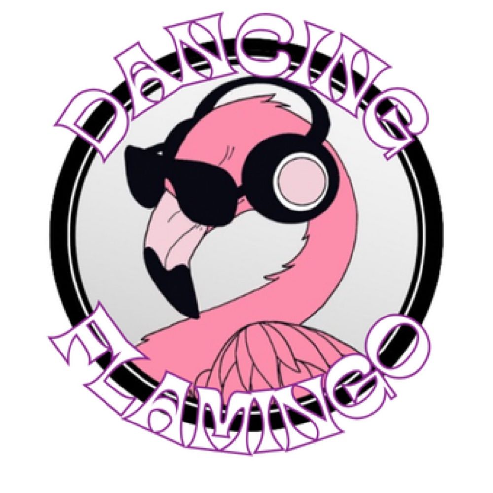 Dancing Flamingo Silent Disco