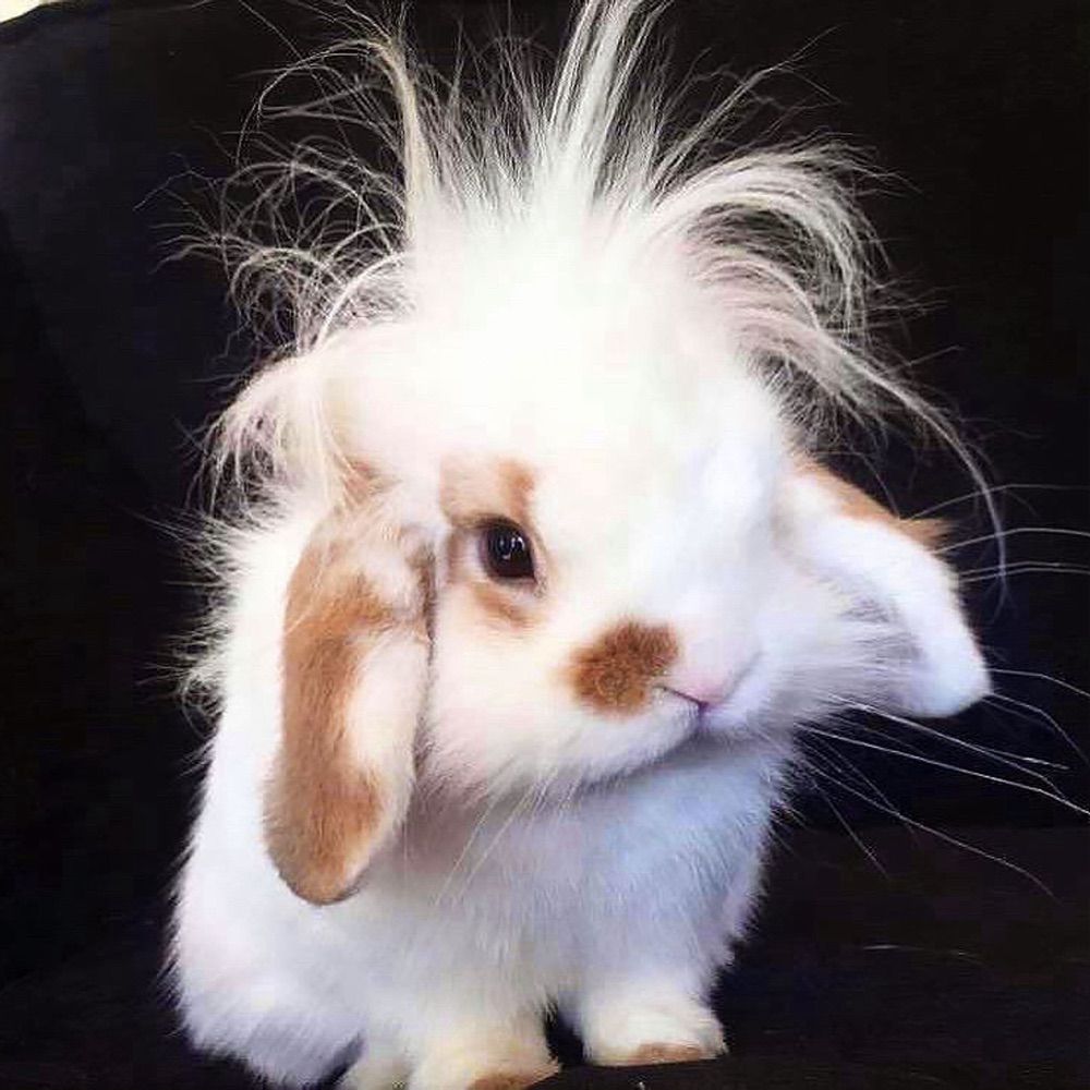 :3