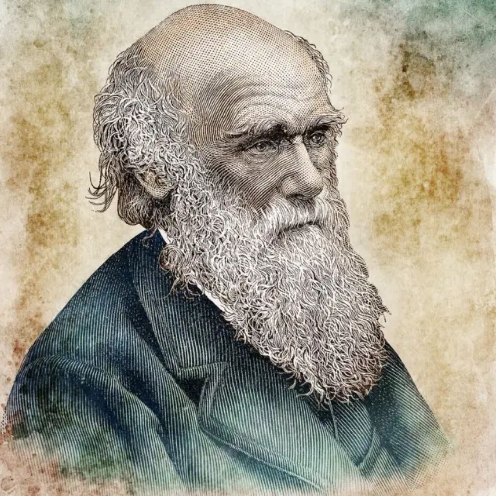 Darwinista