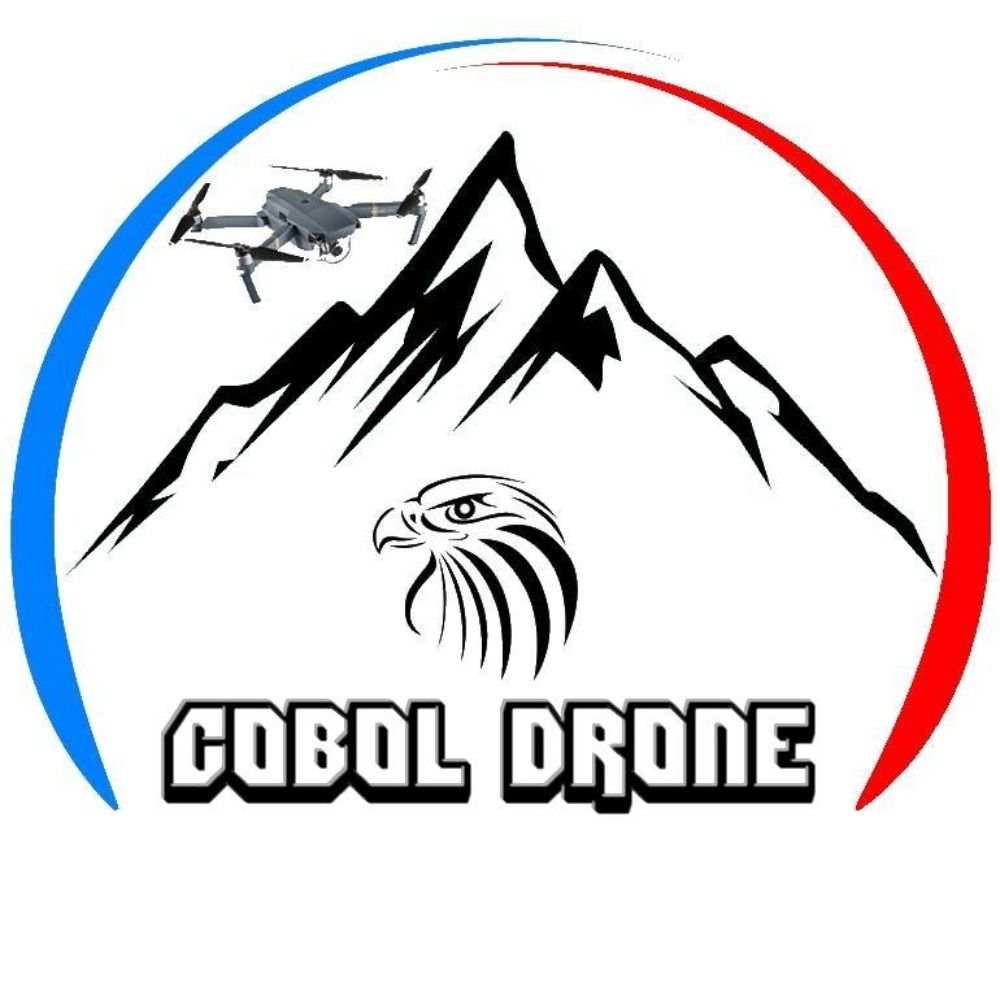 cobol drone