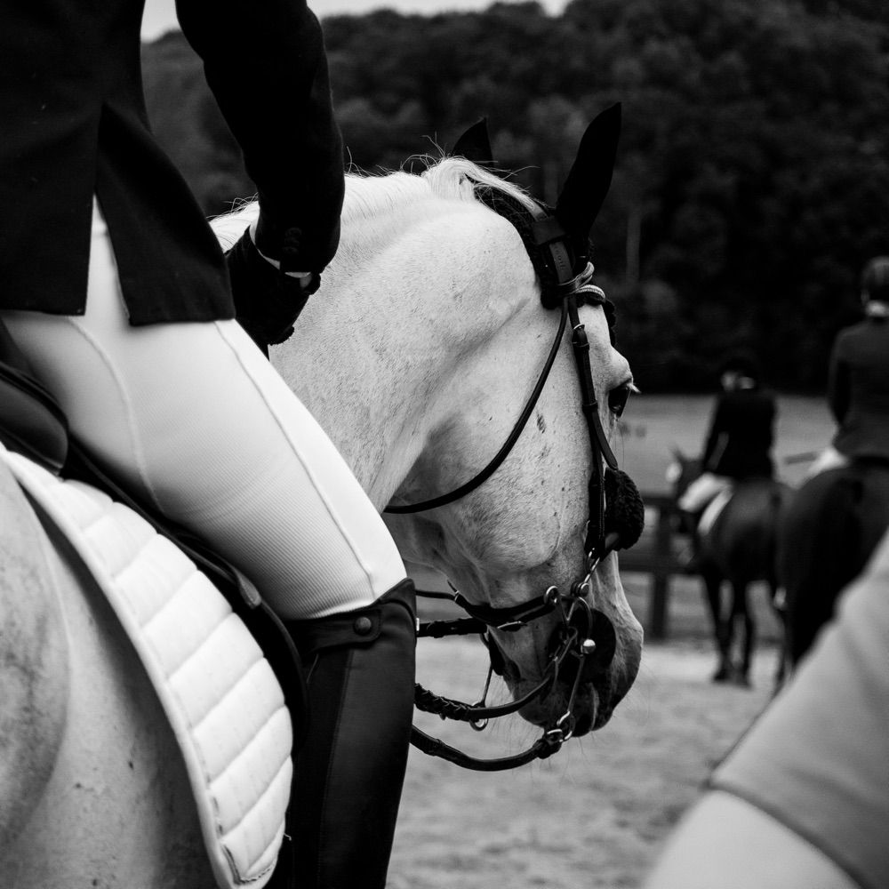 A tired horse girl