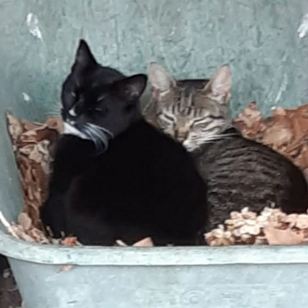 Rosco en Max