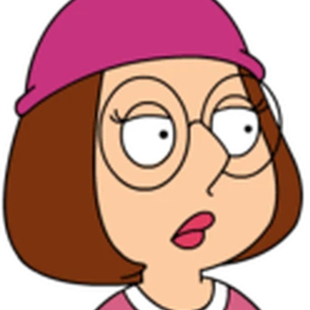 IEMBOT MEG