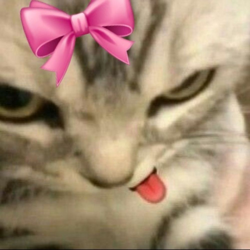 Nic ⋆౨ৎ˚⟡˖ ࣪