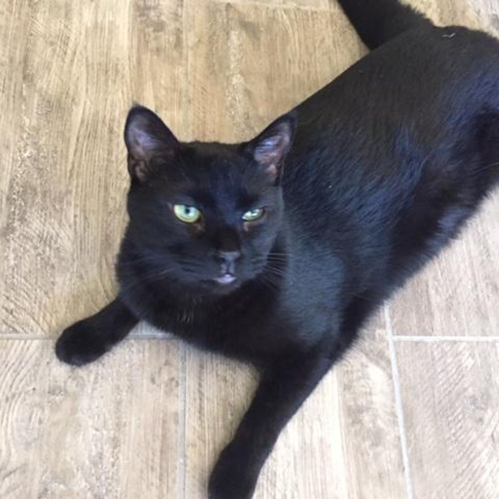 beauliv1.bsky.social