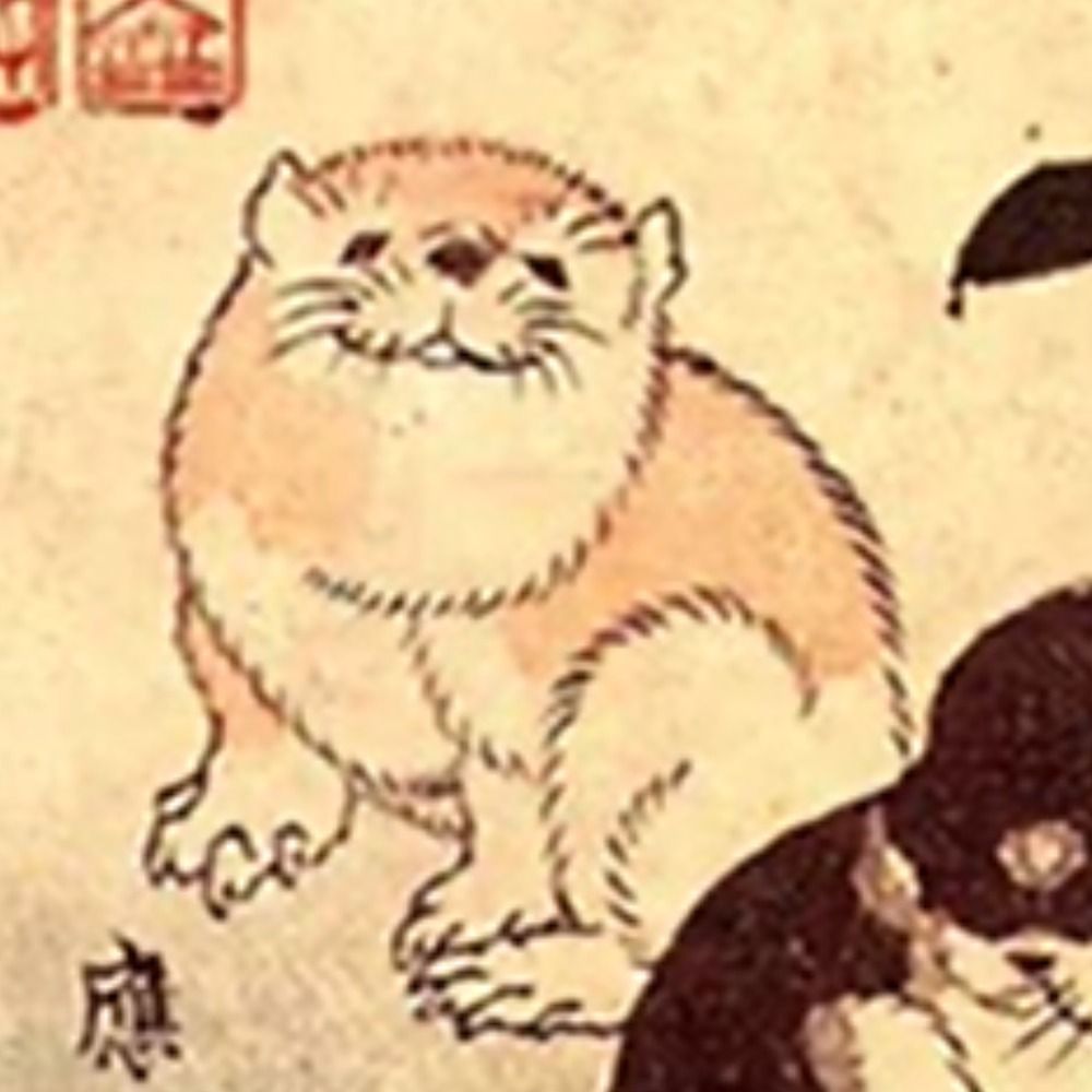 しばいぬきち