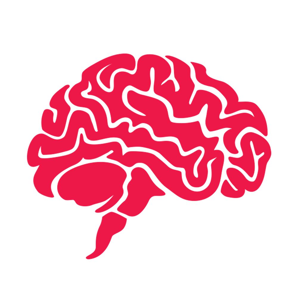 Lieber Institute for Brain Development