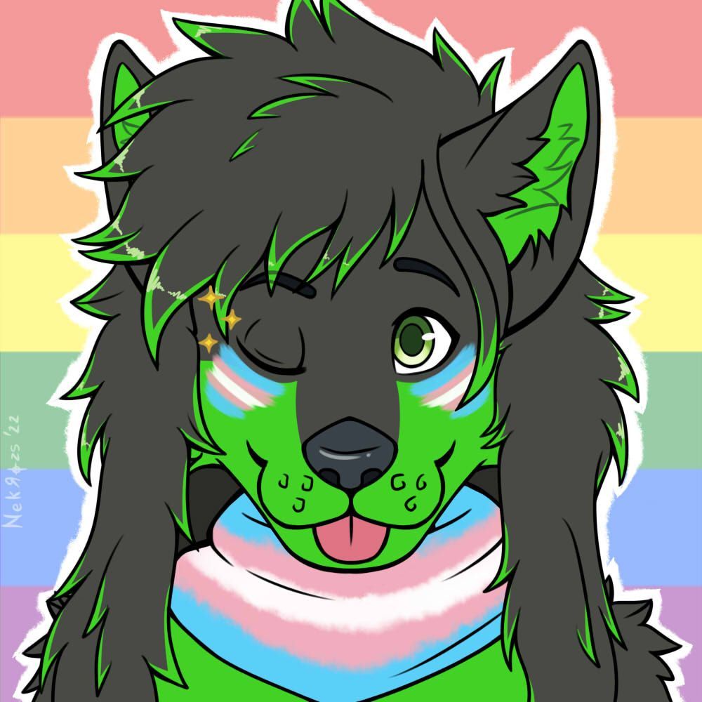 digitalwolfy