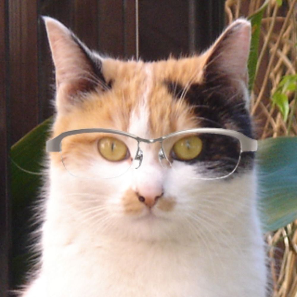 Yuji Terada