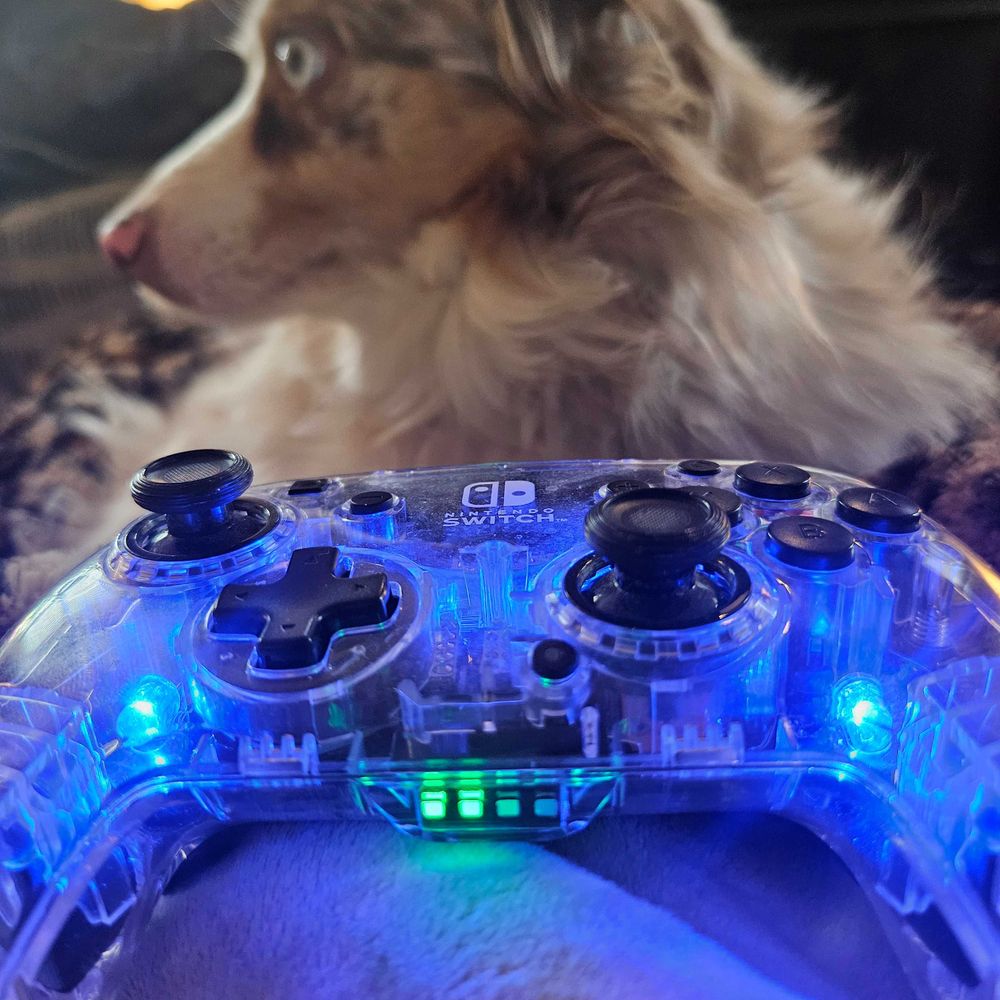 Zelda