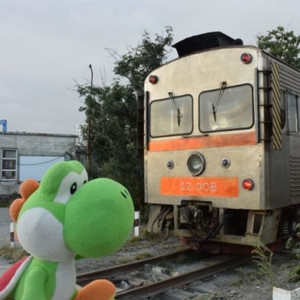 ハレかわ