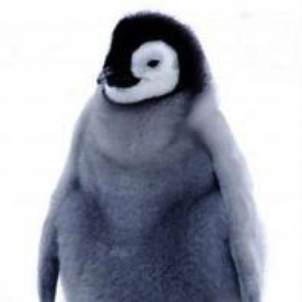 yo_waka