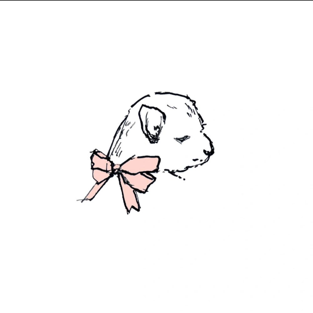 Tamico | illustrator