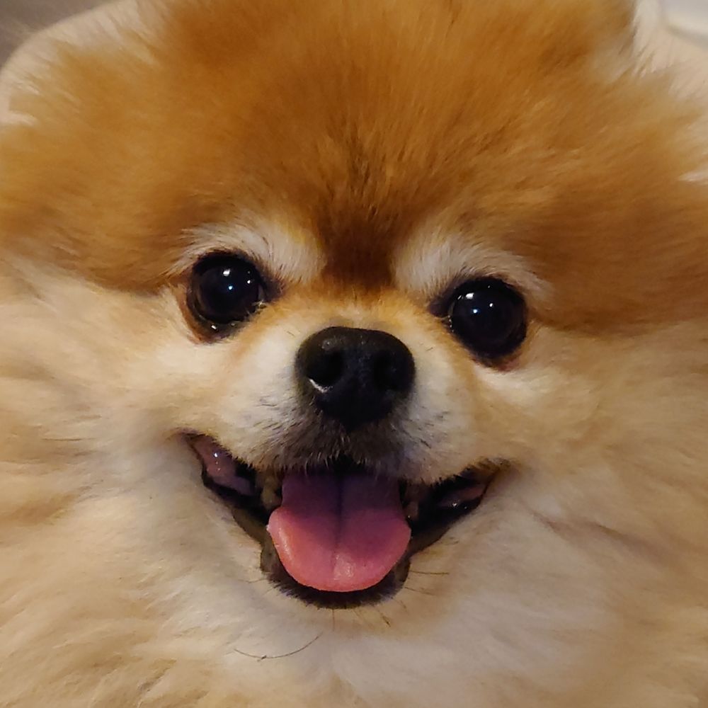 みりーちょこ