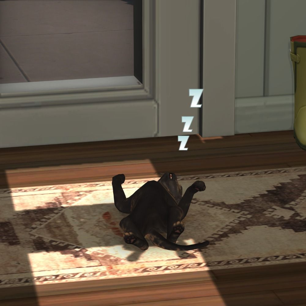 Novalia-Sims