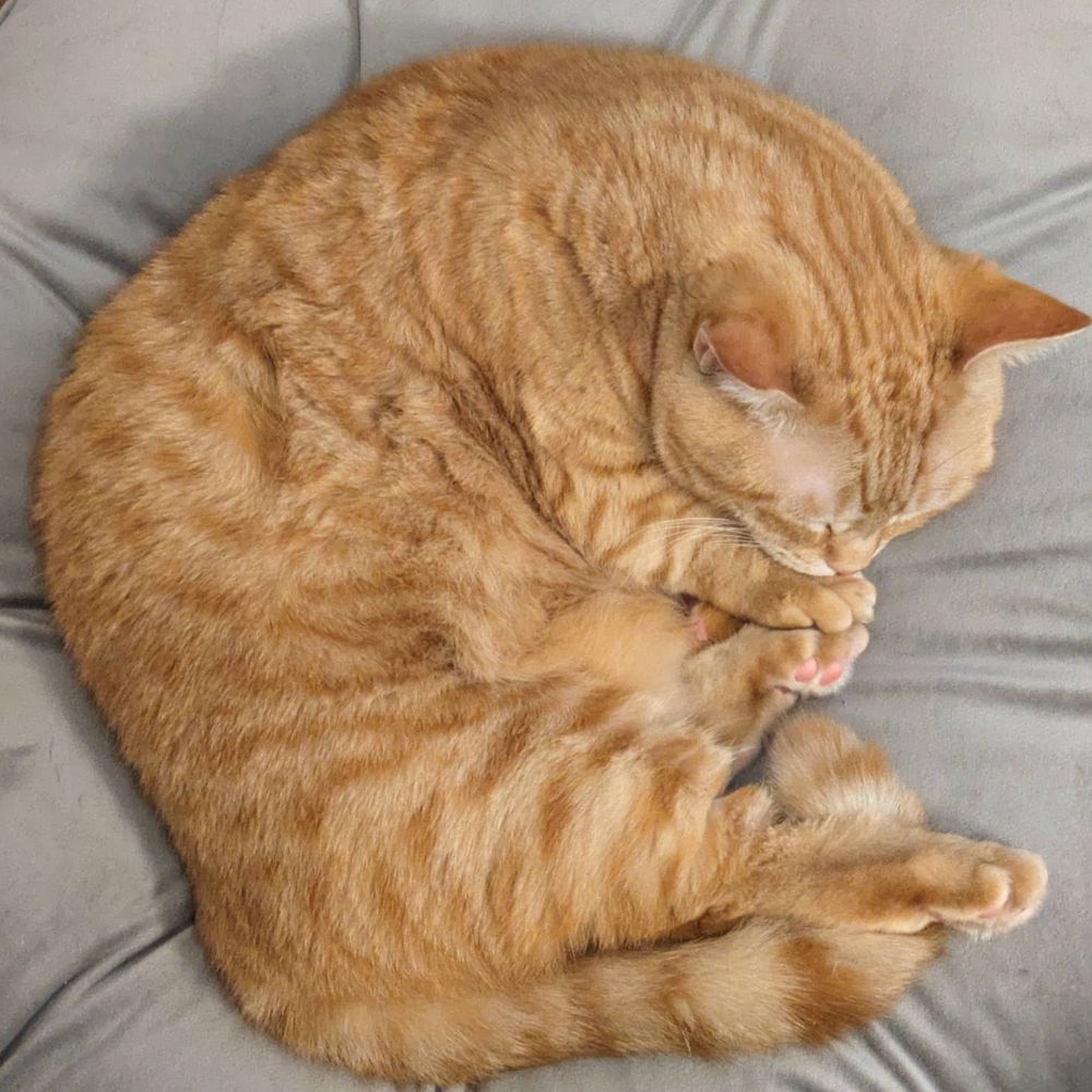 ぽんがし