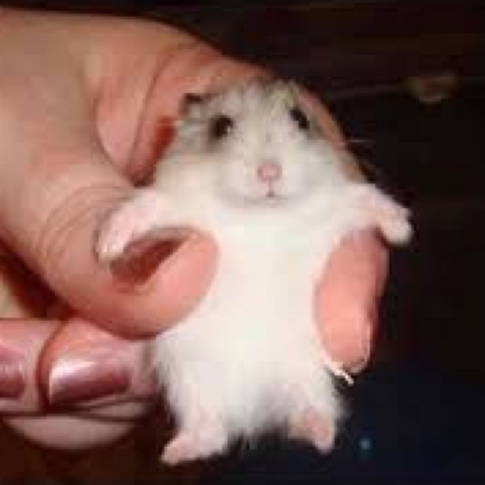 ^u^