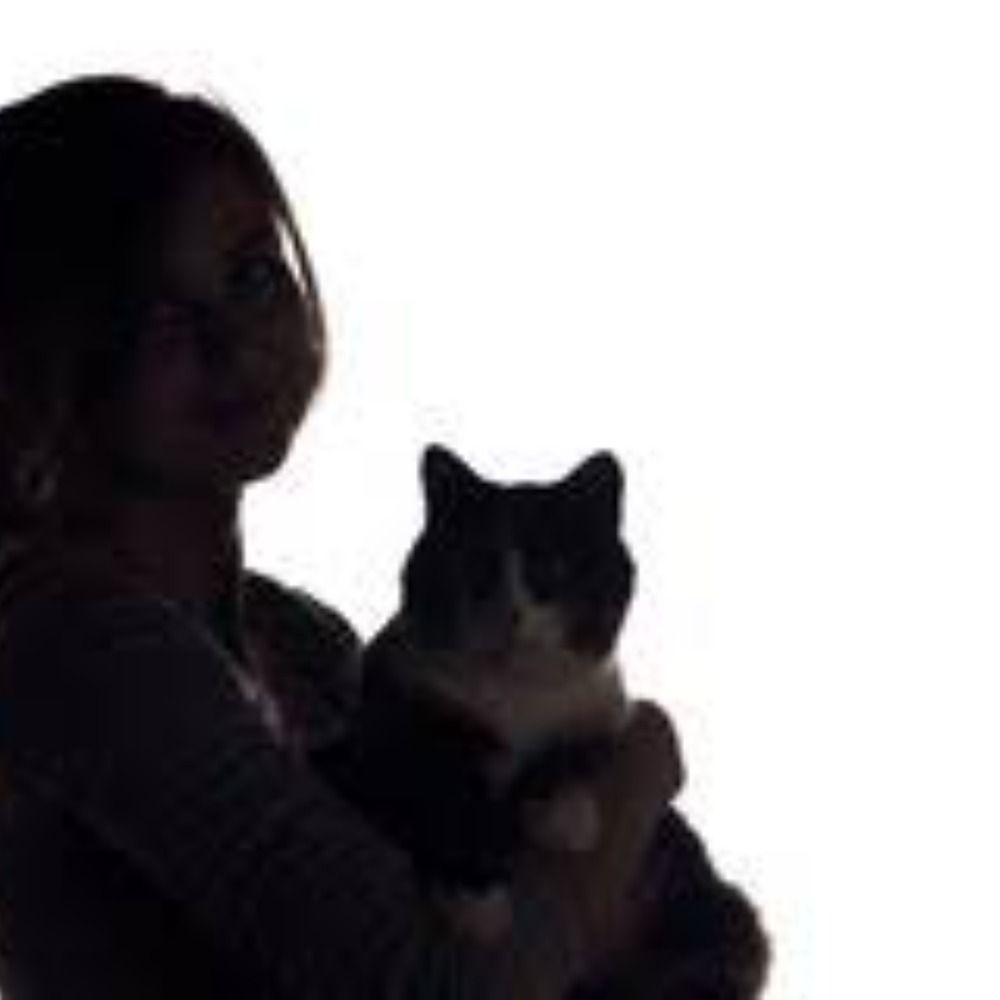 Die mit dem Kater's avatar