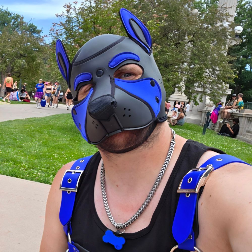 Pup Amdir