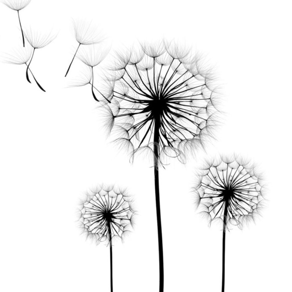 TheDarkestDandelion (Dandy)