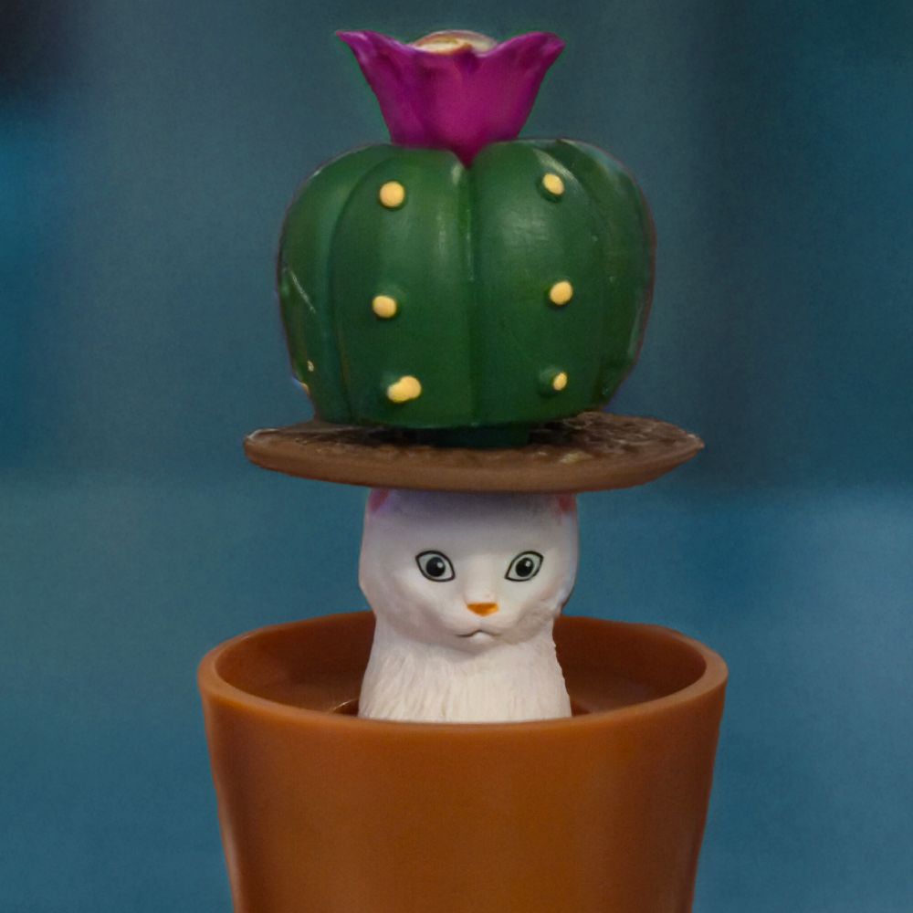wonkysq.bsky.social profile picture
