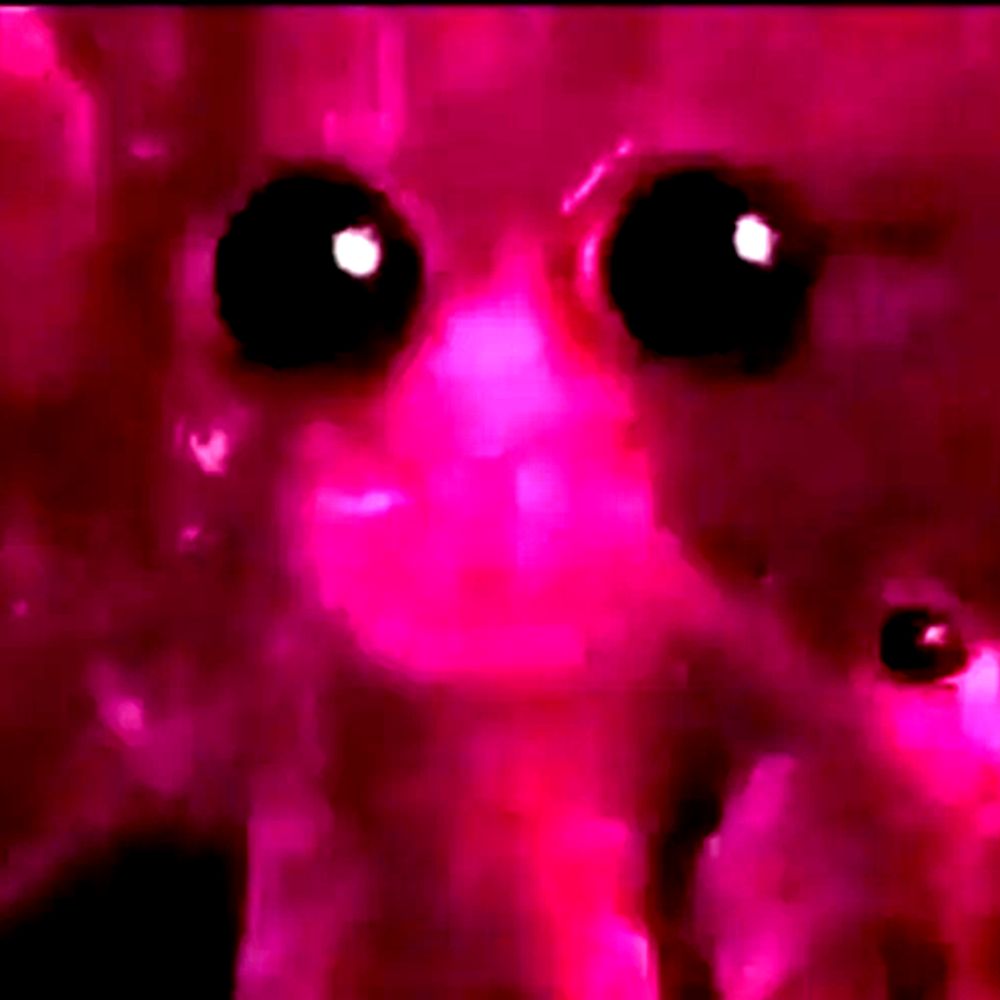 Teejio