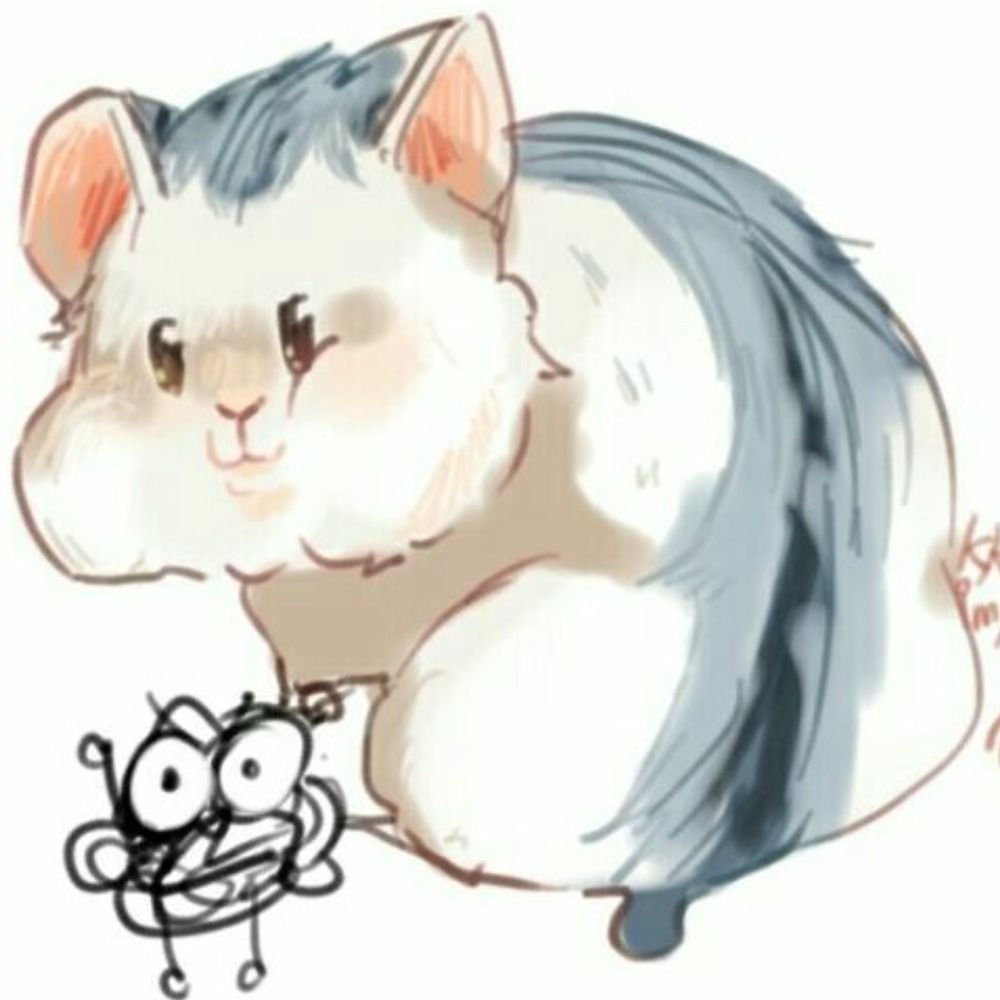 Kangse/캉세