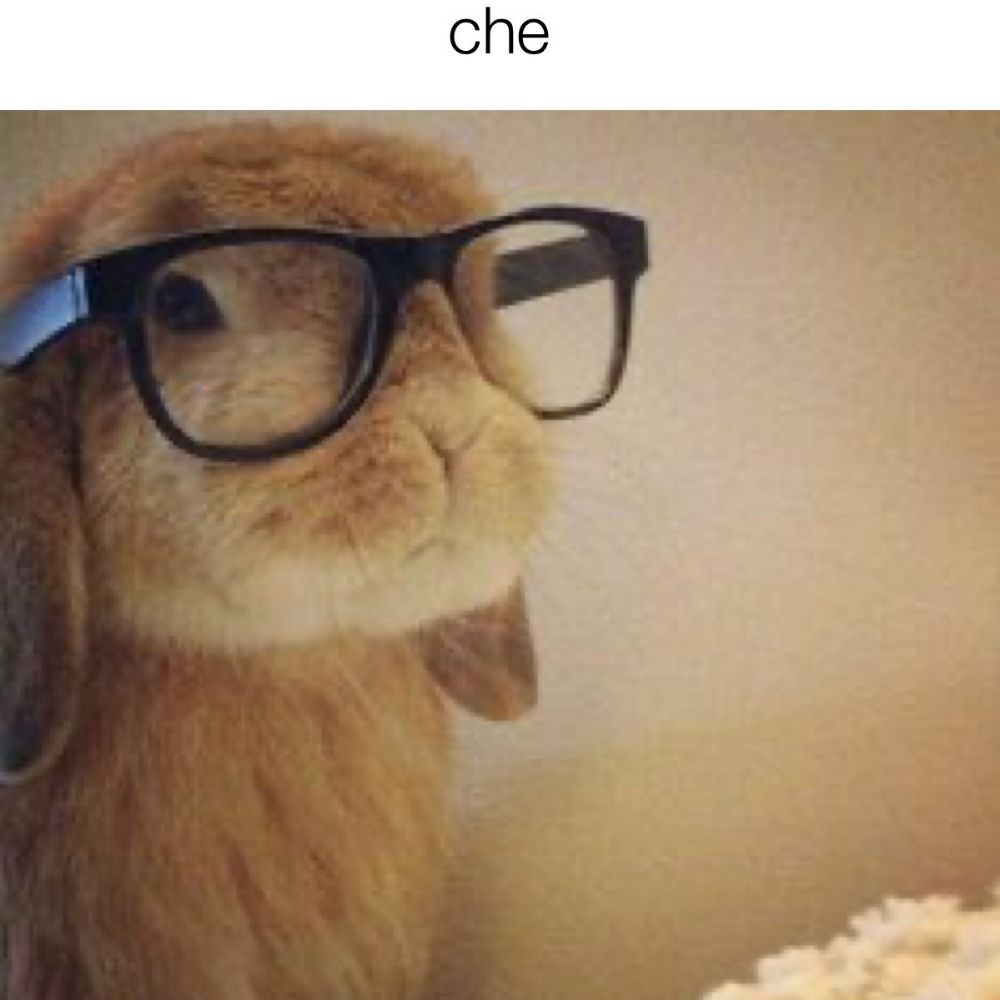 diego 🐇