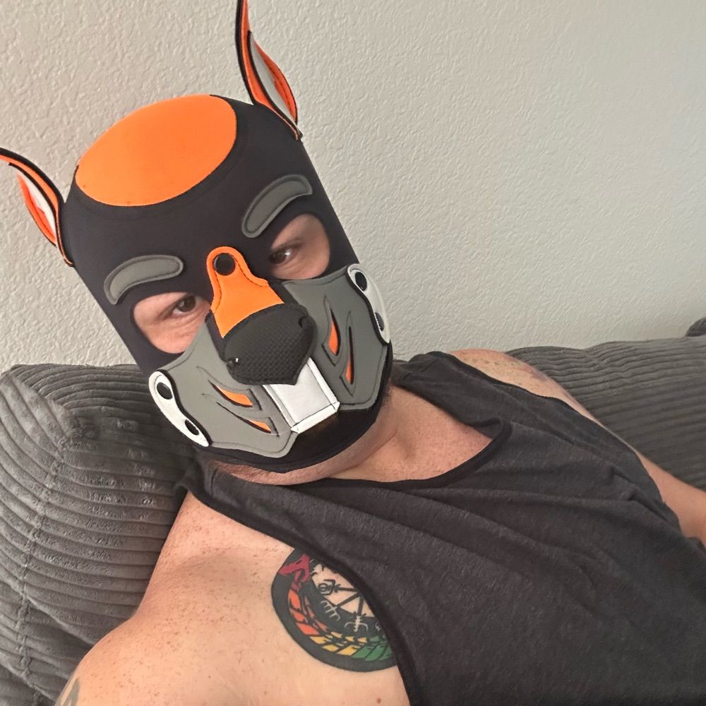 Xander The Alpha Pup
