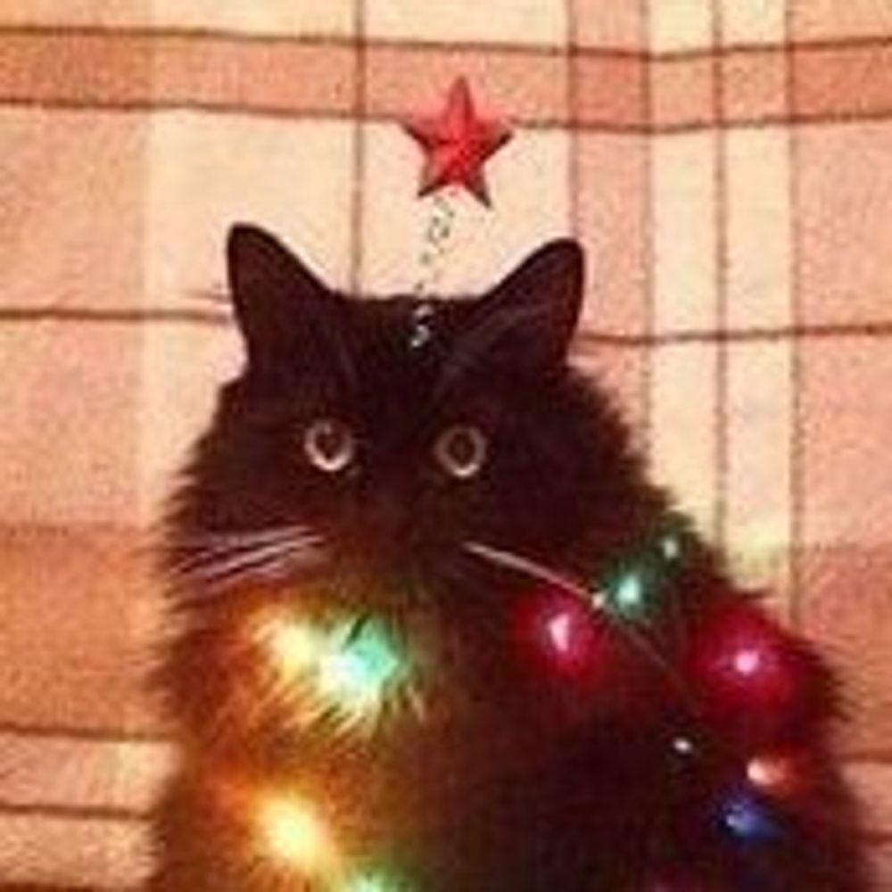 🎄⛄️❄️