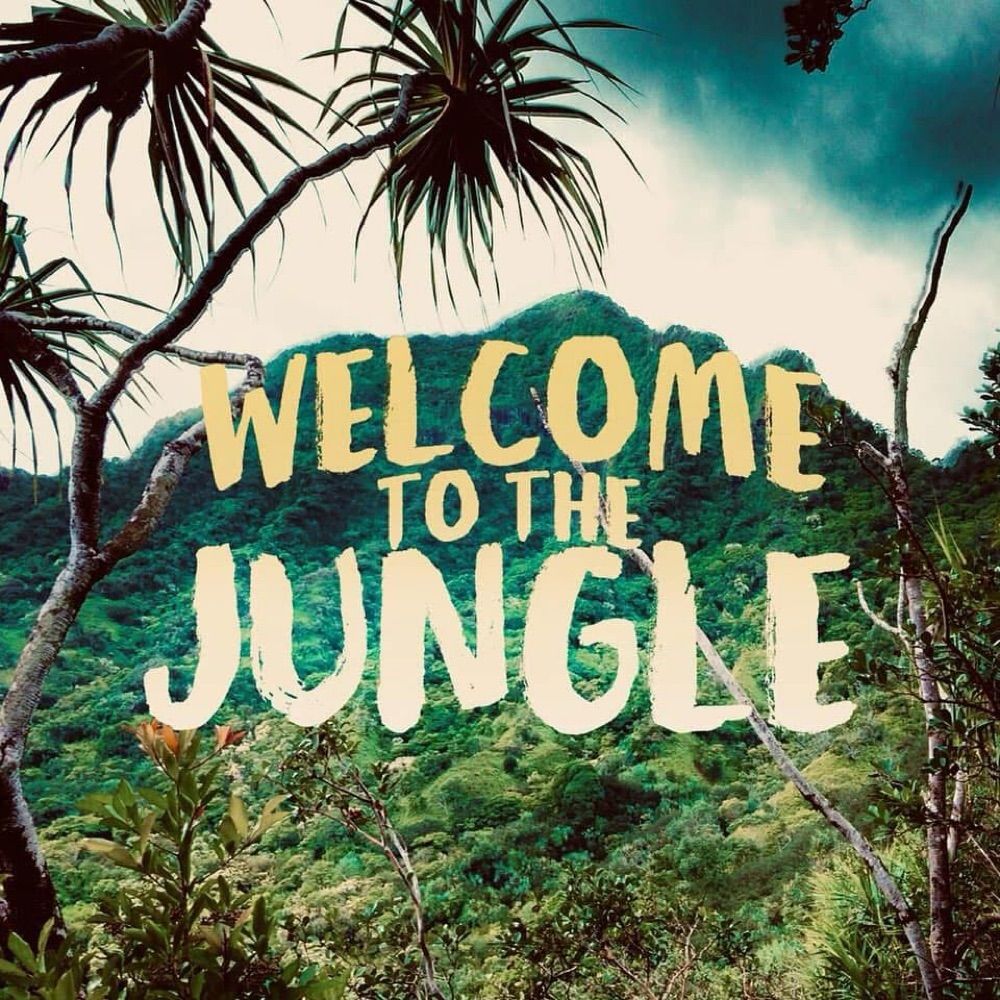 Jungle Jem
